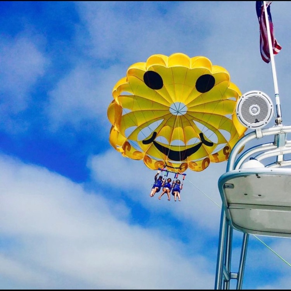 Meet your Posher, Laila